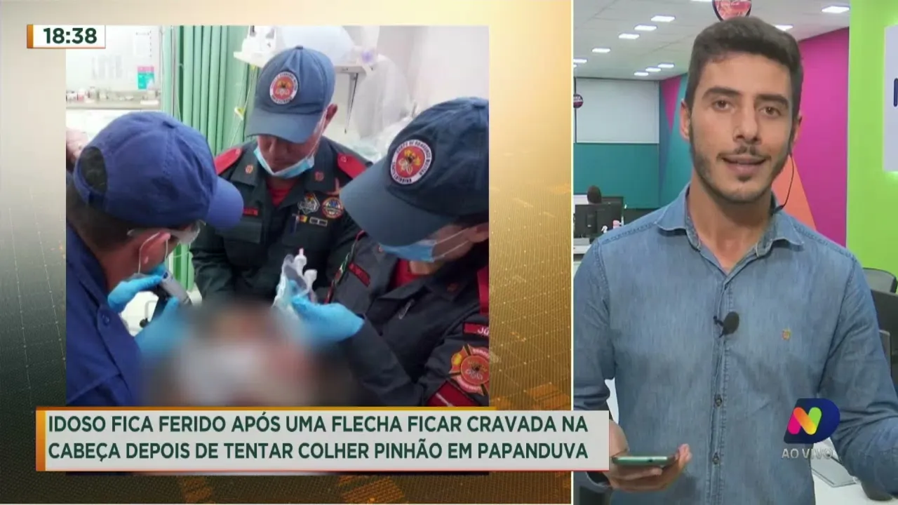 Idoso é ferido por flecha durante colheita de pinhão em Papanduva