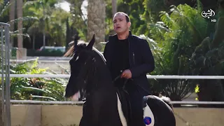 معقولة الفنان احمد السقا يكون خاطف مربوحة الكبير أوي 