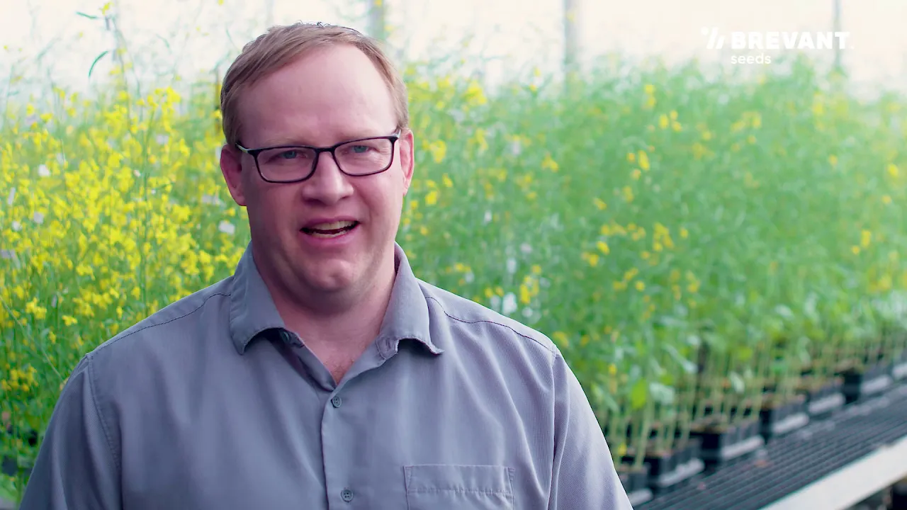 Brevant - Clubroot Q&A Video