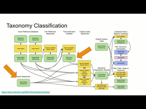 Taxonomic assignment