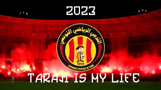 2023 كوكتال أفضل أغاني فيراج الترجي 