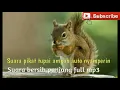 Download Lagu Suara pikat pemanggil tupai || Suara pikat tupai kelapa || suara bajing