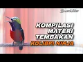 Lagu KOMPILASI MATERI TEMBAKAN KONIN GACOR FULL ISIAN COCOK UNTUK MASTERAN KOLIBRI NINJA BAHAN IJOAN