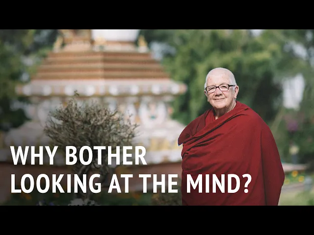 Why Bother Looking at the Mind? | Dr Chönyi Taylor