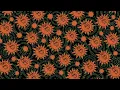 Feid, ATL Jacob - Luna (Visualizer)