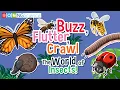 Download Lagu Buzz, Flutter, Crawl: The World of Insects!