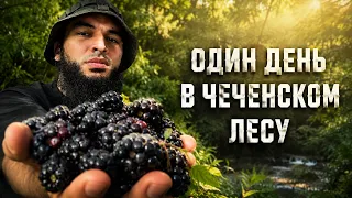 ЧЕМ КОРМИТ ЧЕЧЕНСКИЙ ЛЕС?