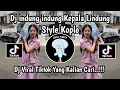 Download Lagu DJ INDUNG INDUNG KEPALA LINDUNG KOPLO VIRAL TIKTOK TERBARU 2025