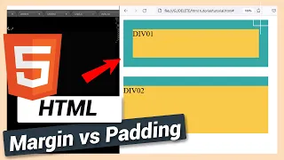 Difference Between Margin and Padding HTML and CSS Tutorial