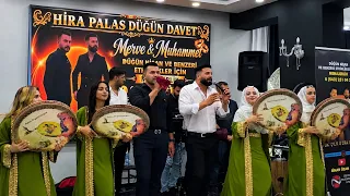Segavi Grani Halay Şevko Siirt Ağrı Düğünü Sinan Özaraz Sedat Çelik 