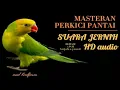 Download Lagu MASTERAN PAGI SORE DAN MALAM HARI !! || PERKICI PANTAI mastering muraibatu jelas dan tajam