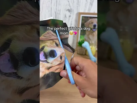 So cuteeee 😭 #dogs #dogloss #dogsoftiktok #giftideas #pets