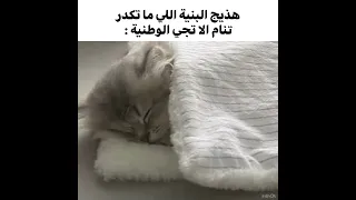 حموت اني اولهن    لايك  اشتراك  ترند  اكسبلور                                             دندنها