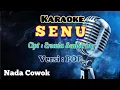 Download Lagu SENU | KARAOKE LAGU KARO | VERSI POP | NADA COWOK