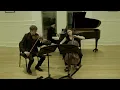 Piano Trio in G minor Op. 110, Schumann