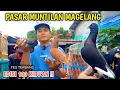 Download Lagu BELANJA MERPATI GIRINGAN DI PASAR MEKAR MUNTILAN MAGELANG CAKEP CAKEP MERPATINYA 