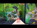 PetSmart Calgary MacLeod Trail Store Little Critters In Action Today Date Aug 20 2026