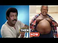 227 TV series 1985 Cast THEN AND NOW 37 Years After