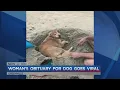 Upstate woman s obituary for beloved dog goes viral