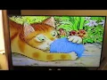 The Tale Of Tom Kitten \u0026 Jemima Puddle Duck VHS Test On 4K Tv