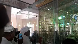 يا شاذلى يا ابا الحسن 