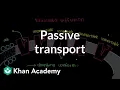 Passive Transport by Facilitated Diffusion Cells MCAT Khan Academy
