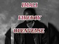 Fireboy DML, JAZZWRLD & Thukuthela -IMALI  (Beat + Hook) [OPEN VERSE]Instrumental loop