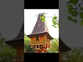 Download Lagu beautiful of Timor Leste 🇹🇱🇹🇱🇹🇱 #shorts