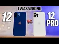 iPhone 12 vs 12 Pro Real-World Differences after 1 Week