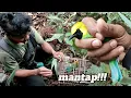 Lagu Lihat keseruan kami sobat Berpetualang di dalam hutan Sumatera mikat burung cukak ranting