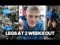 BRUTAL LEG SESSION at 2 Weeks Out from IFBB NPS Nationals 2026