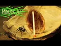 Download Lagu Minuscule - Compilation #9
