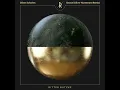 Devon (Oliver Huntemann Remix) - Oliver Schories