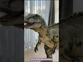 Step back in time with our Dinosaur-themed party decorations