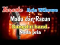 Download Lagu Madu dan Racun Arie Wibowo - Karaoke nada pria