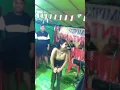 Lagu artis biduan bintang papan atas sintang kalbar goyang pargoy #artis #biduan #sintangkalbar #shorts