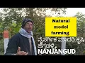 ಹೆಗ್ಗಡಹಳ್ಳಿ, ನಂಜನಗೂಡು ನೈಸರ್ಗಿಕ ಮಾದರಿ ಕೃಷಿ (ಭಾಗ -2)