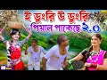 Lagu ই ডুংরি উ ডুংরি পিয়াল পাকেছে | E Dungri O Dungri Piyal Pakeche 2.0 | Payel Rajvansh New song 2026
