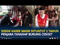 Sosok Kakek Masir Dituntut 2 Tahun Penjara Tangkap Burung Cendet Dijual Rp30 Ribu Demi Makan