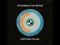 Call Me When You Land - Luke Sital-Singh & Old Sea Brigade