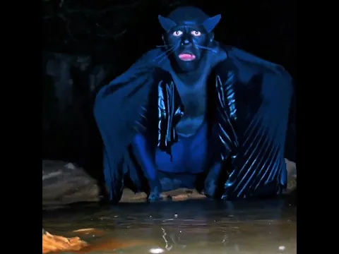 BaT CaT FoI AvIsTaDo tOmAnDo bAnHo 🦇