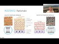 Enhancement of SC lipid structure improves skin barrier function S G Danby et al