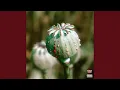 Download Lagu OPIUM
