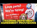 PetSmart Faces Lawsuit For Charging Employees 5000 In Grooming School TRAP