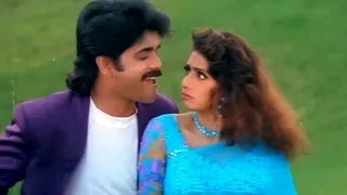 andama anduma video song nagarjuna sridevi evergreen superhit song govinda govinda movie songs