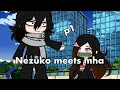 Nezuko meets bnha kny x bnha kny x gc bnha x gc no ships Part 1
