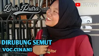 Download DIRUBUNG SEMUT || VOC.CINANI || DUA PUTRA MP3