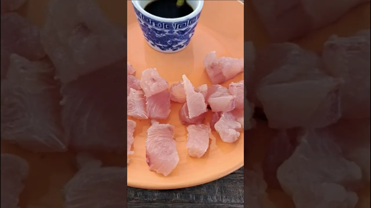 Mahi Mahi sashimi