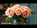 Download Lagu Beautiful melodies that make you cry🌺Music for the soul🌿Sergey Grischuk #10
