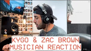 musician reacts to 